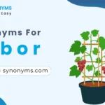 synonyms for arbor