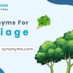 synonyms for foliage