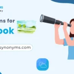 synonyms for outlook