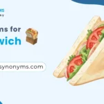 synonyms for sandwich