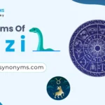 synonyms of enigmatic