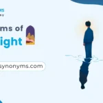 synonyms of hindsight