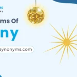 synonyms of shiny