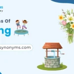 synonyms of spring