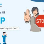 synonyms of stop