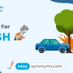 synonyms for crash