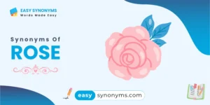 synonyms of rose
