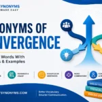 synonyms of convergence