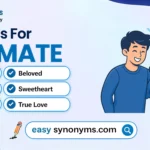 synonyms for soulmate