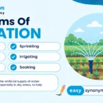 synonyms of irrigation